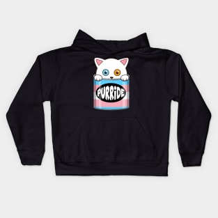 Funny White Cat Transgender Pride Kids Hoodie